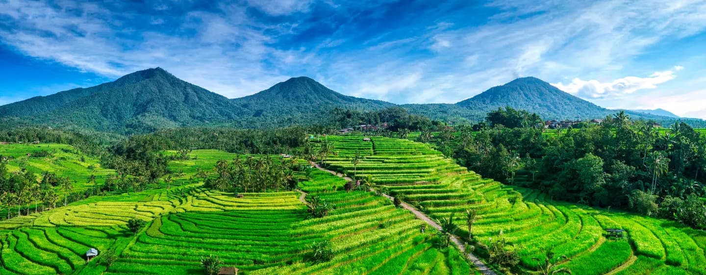 Trekking Subak Jatiluwih